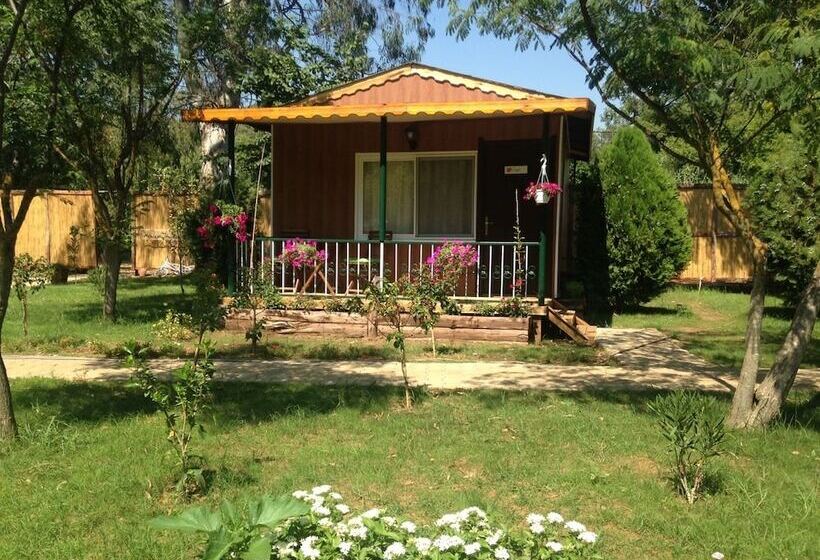 酒店 Sakligol Evleri