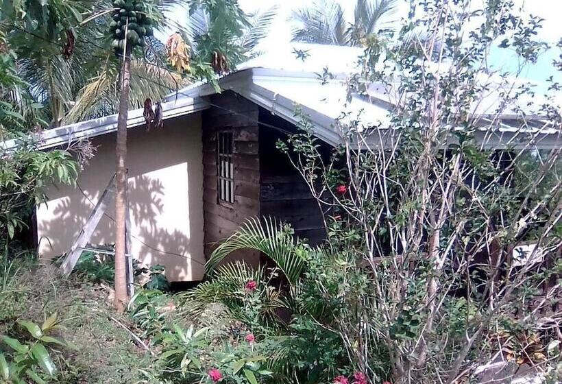 Pensjonat Windy Willow S