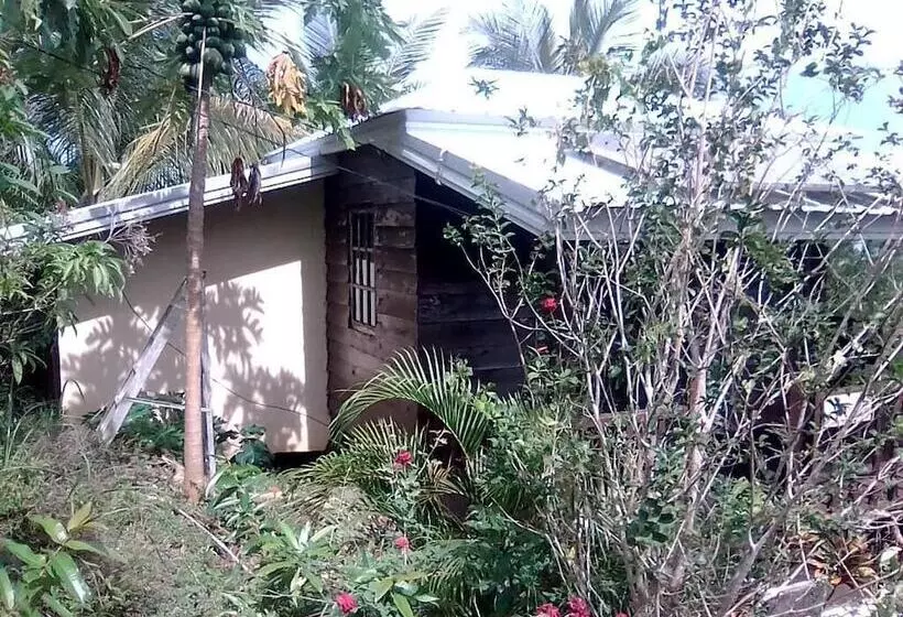 Majatalo Windy Willow S