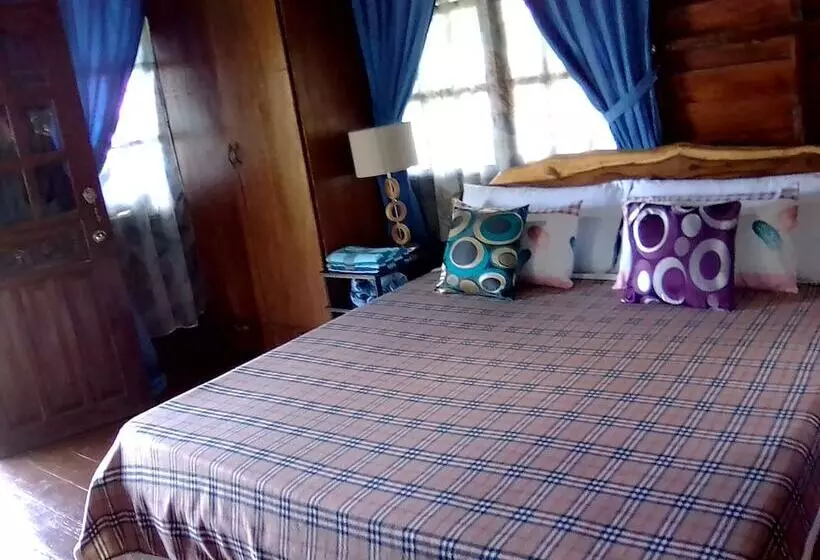 Majatalo Windy Willow S