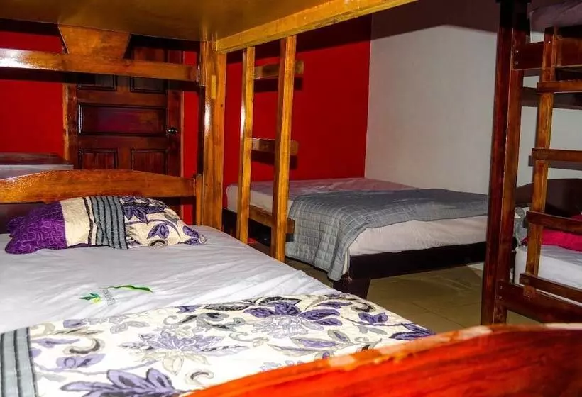 Villa Hostel