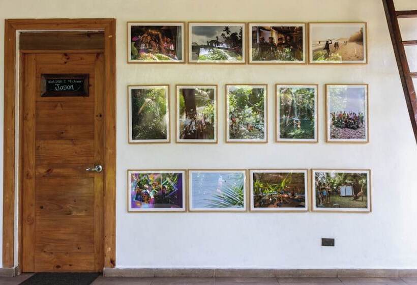 تختخواب و صبحانه Michanti