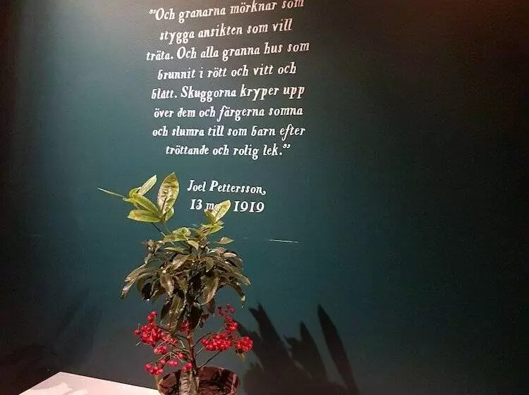 Aamiaismajoitus (B&B) Pensionat Stalldalen