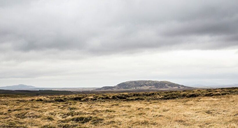 Gullfoss & Geysir Luxury Cabin