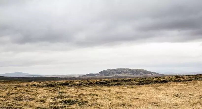 Gullfoss & Geysir Luxury Cabin