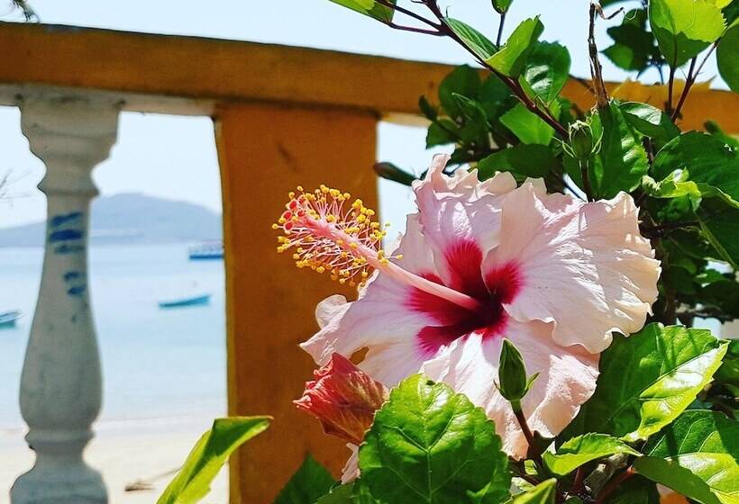 Хостел Cerrito Tropical