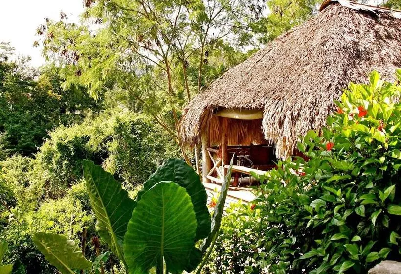 ホテル Ecolodge Tubagua Puerto Plata