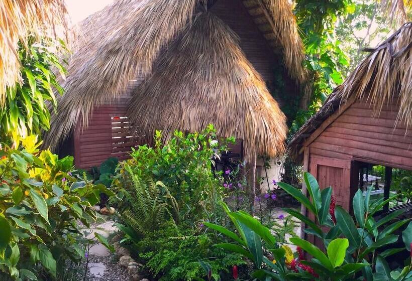 هتل Ecolodge Tubagua Puerto Plata