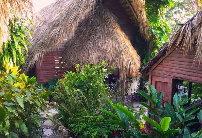ホテル Ecolodge Tubagua Puerto Plata
