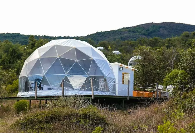 ホテル Glamping Colombia