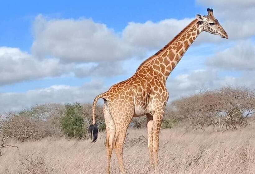 Hotel Lake Jipe Eco Lodge