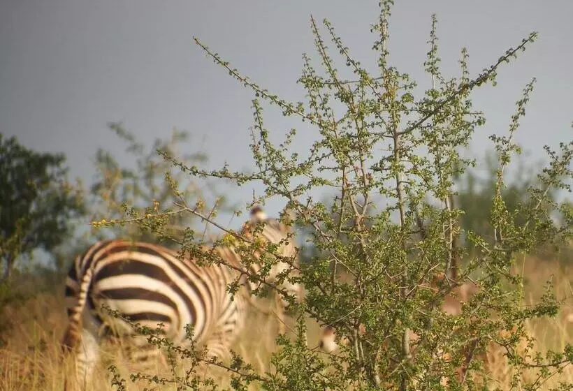 هتل Lake Jipe Eco Lodge