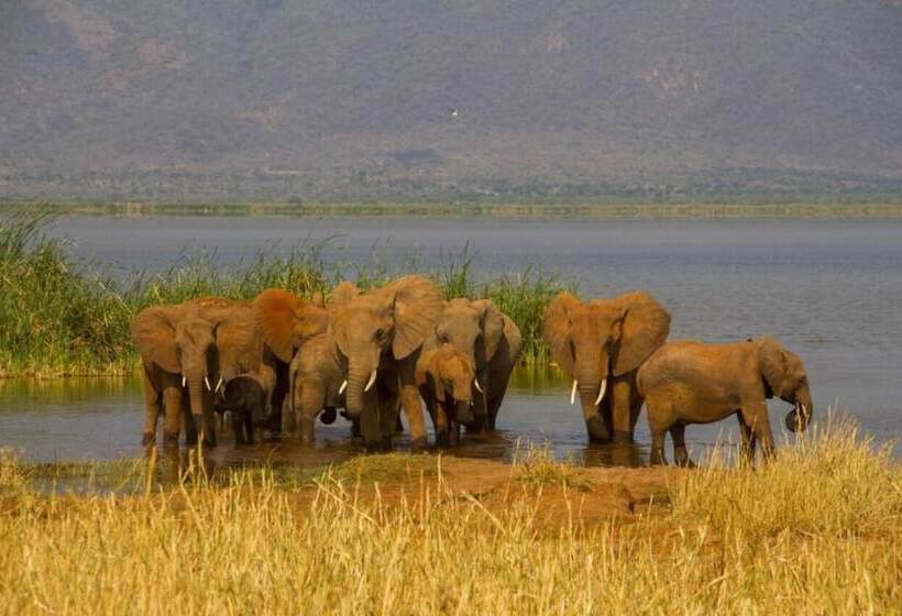 Hotel Lake Jipe Eco Lodge