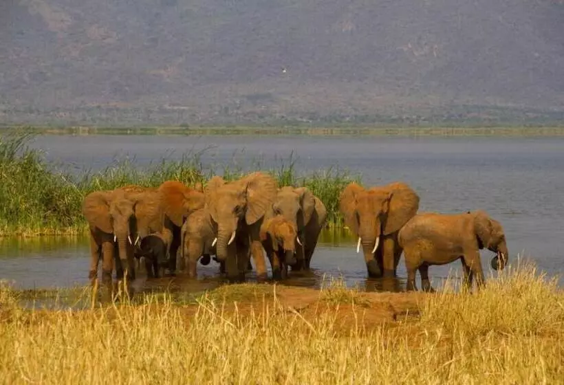 هتل Lake Jipe Eco Lodge