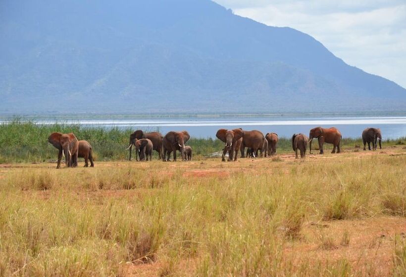 Hotel Lake Jipe Eco Lodge