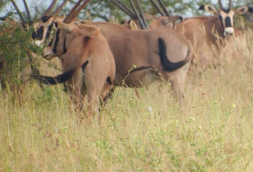 Hotel Lake Jipe Eco Lodge