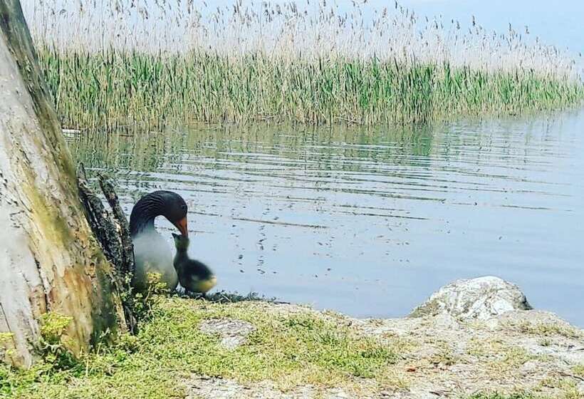 酒店 Osso Garden Bungalow