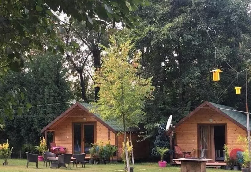 ホテル Osso Garden Bungalow