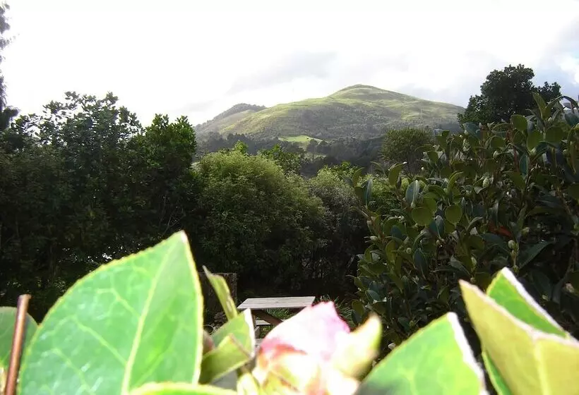 Karangahake Gold  N Views Cottage