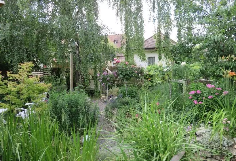 Majatalo Bed & Breakfast Erlach