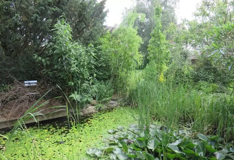 Majatalo Bed & Breakfast Erlach