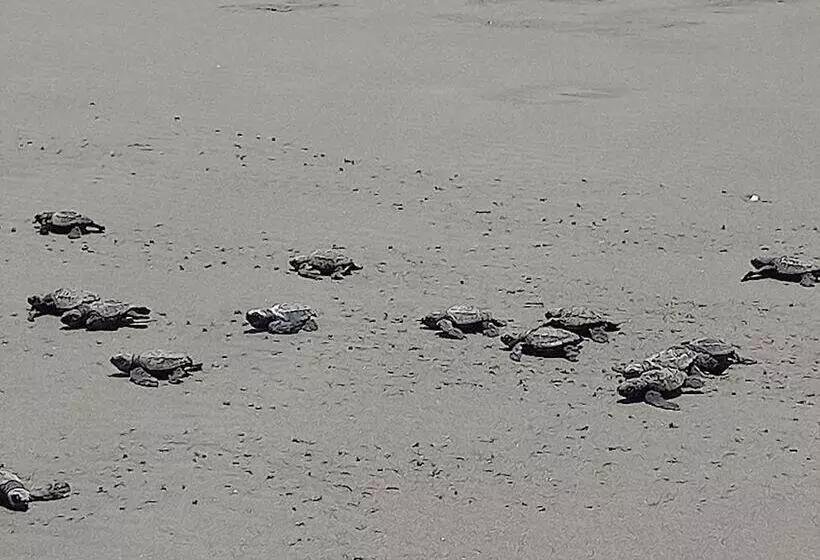 Majatalo La Veranera Guest House