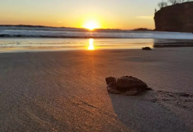 Majatalo La Veranera Guest House