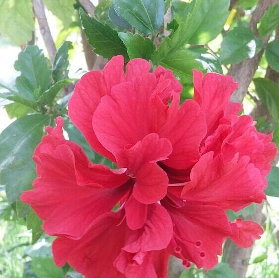 膳宿费 Ukerewe Cultural Tourism Homestay