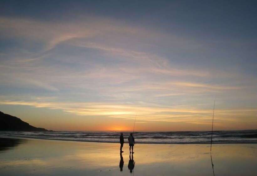 リゾートホテル Port Waikato Holiday Park