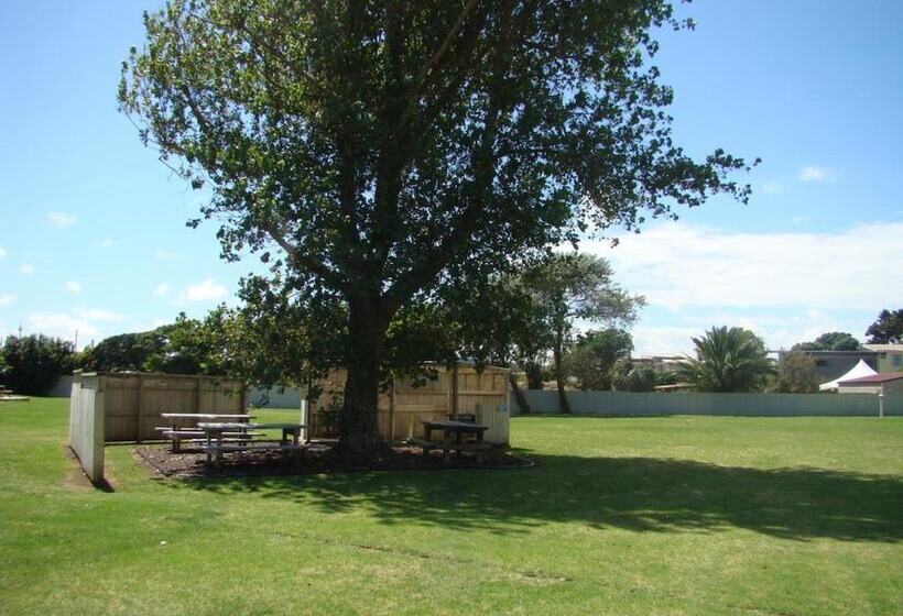 リゾートホテル Port Waikato Holiday Park