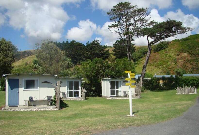 リゾートホテル Port Waikato Holiday Park