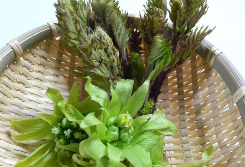 Ryokan Okuaso No Yado Yamanami