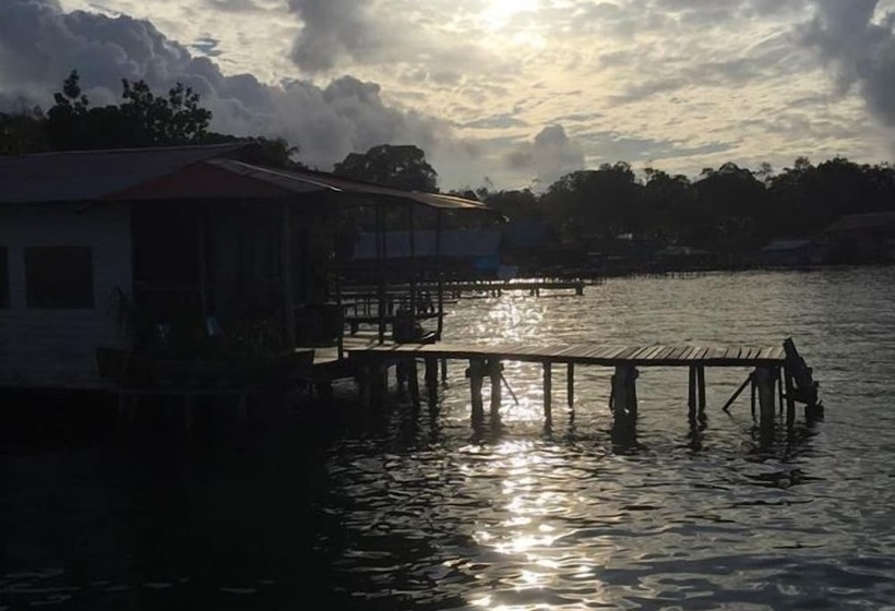 Bubba S House Hostel