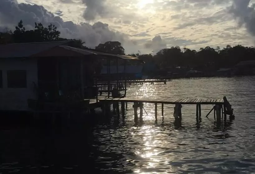 Bubba S House   Hostel