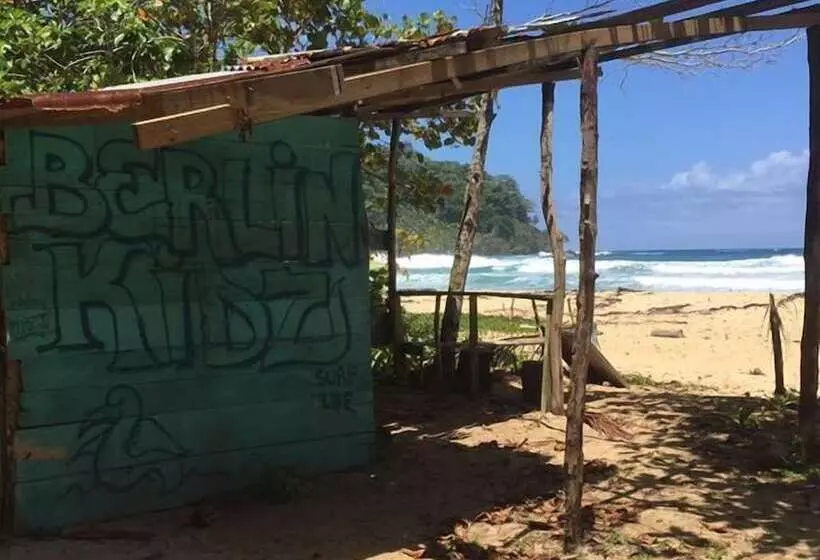 Bubba S House   Hostel