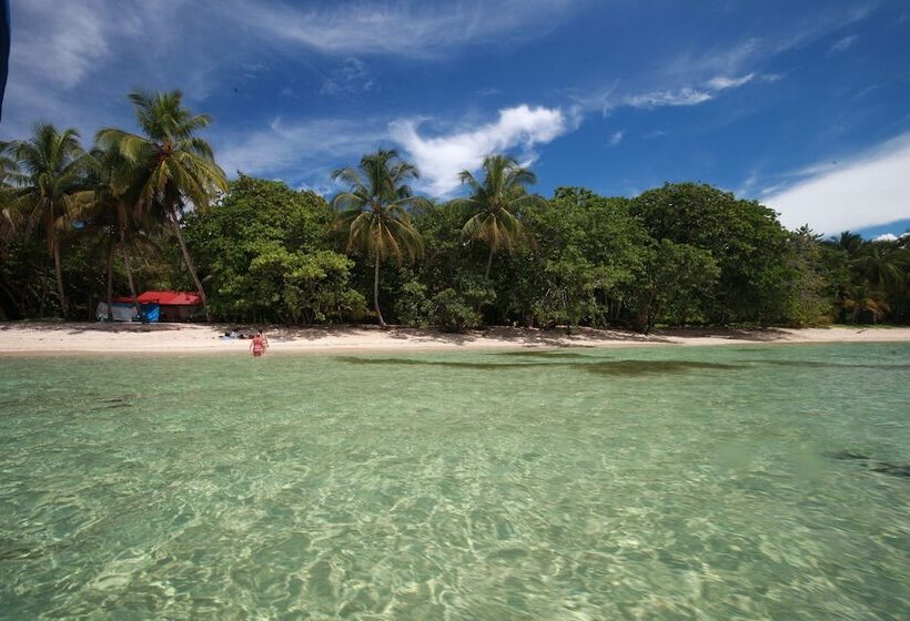 Bubba S House Hostel