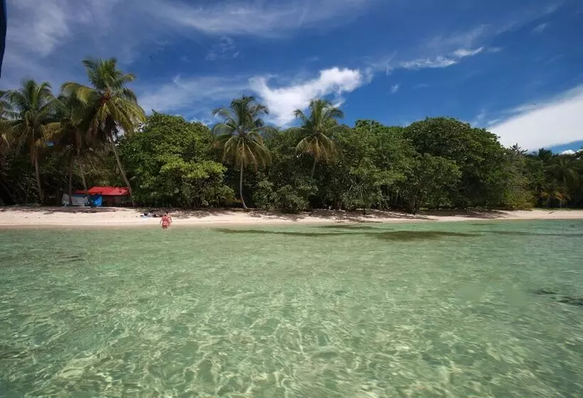 Bubba S House   Hostel