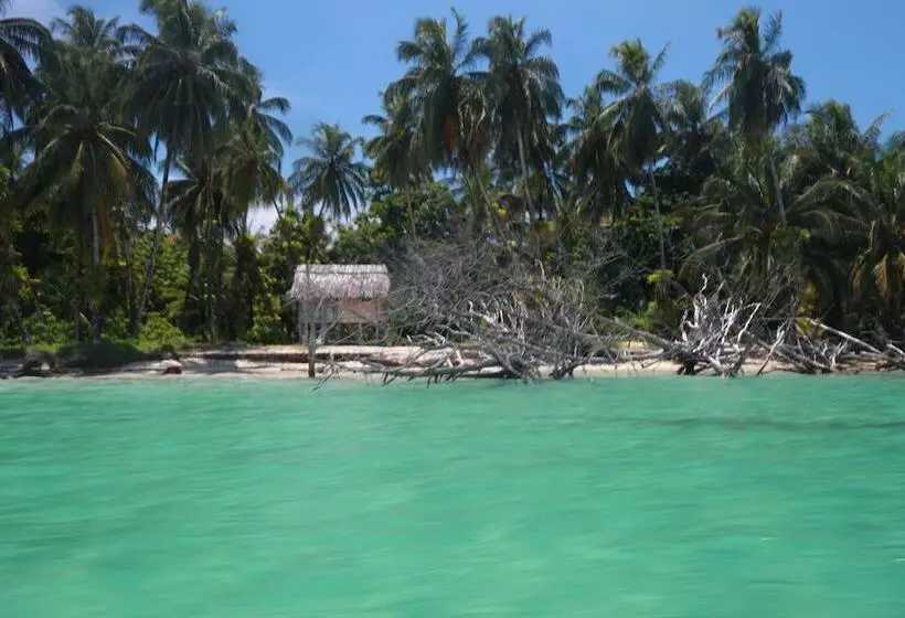 Bubba S House   Hostel