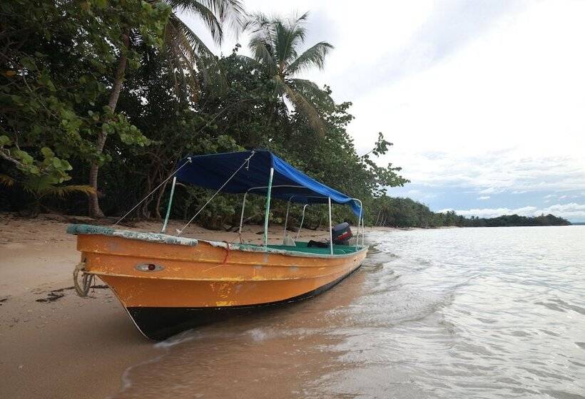 Bubba S House Hostel