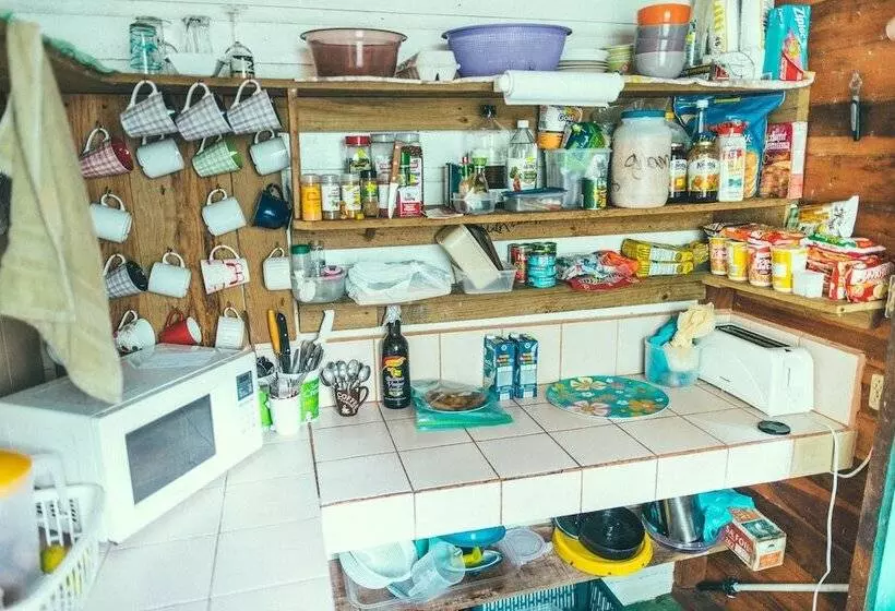 Bubba S House   Hostel