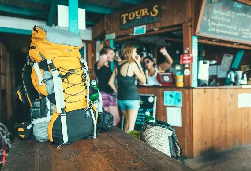 Bubba S House   Hostel