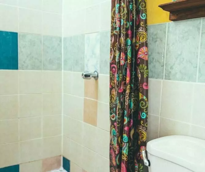 Bubba S House   Hostel