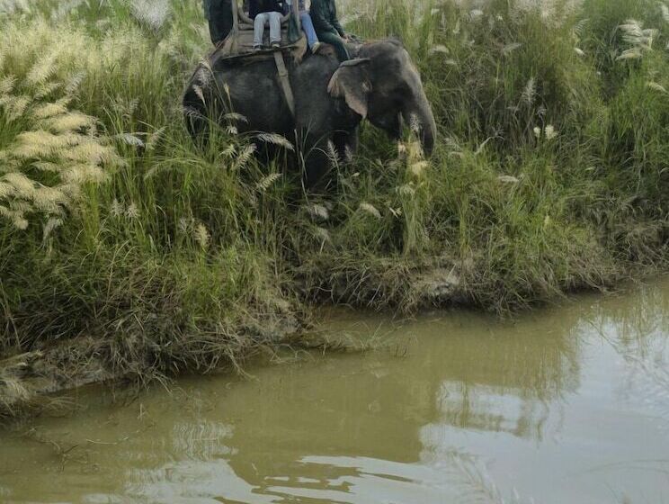 هتل Barahi Jungle Lodge