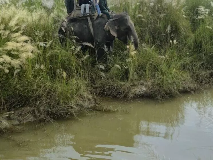 هتل Barahi Jungle Lodge