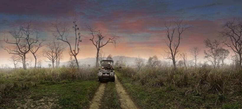 هتل Barahi Jungle Lodge