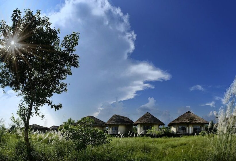 هتل Barahi Jungle Lodge