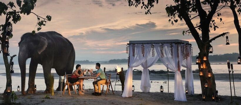 هتل Barahi Jungle Lodge