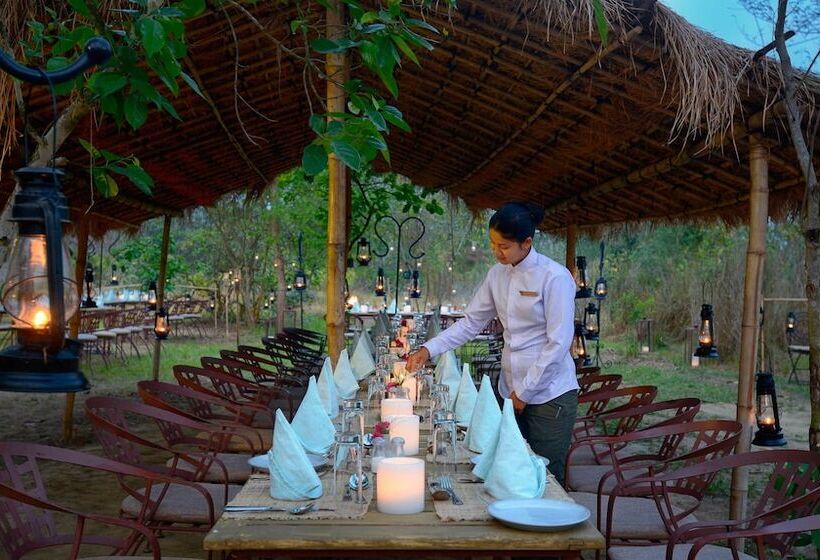 هتل Barahi Jungle Lodge