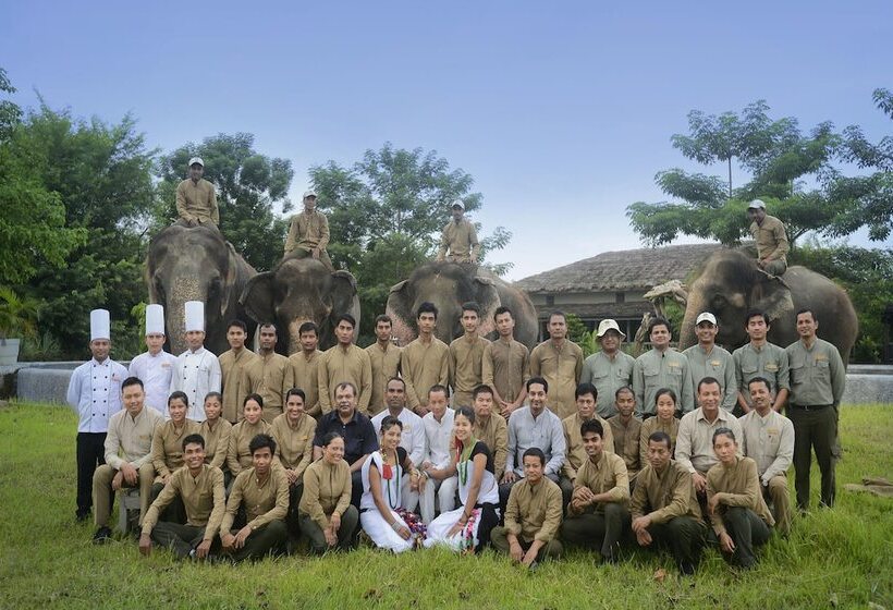 هتل Barahi Jungle Lodge