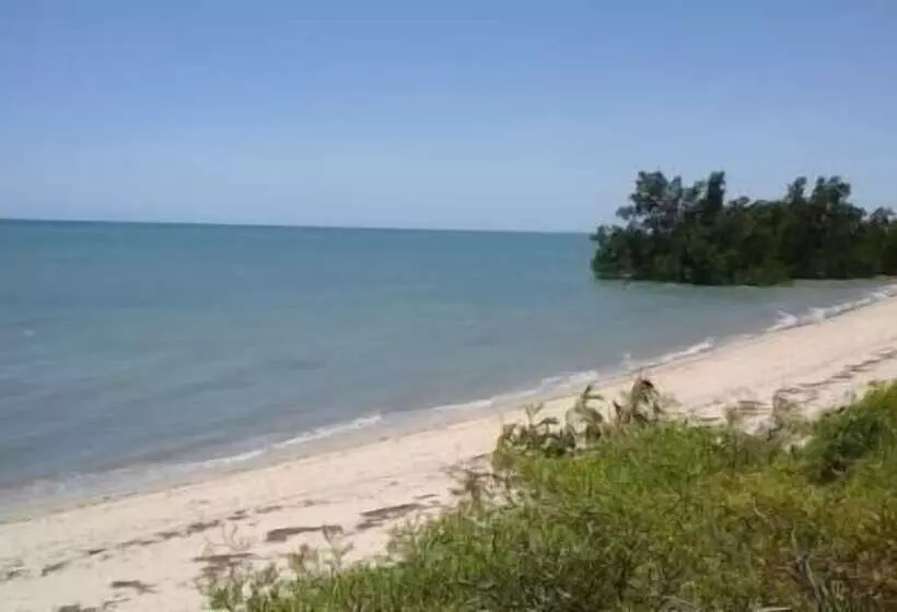 هتل Caliente Beach Lodge